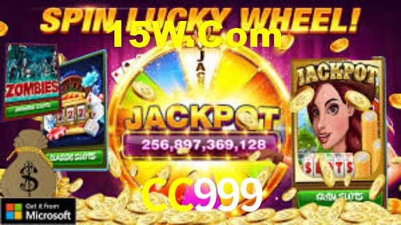 Premium Interface CC999